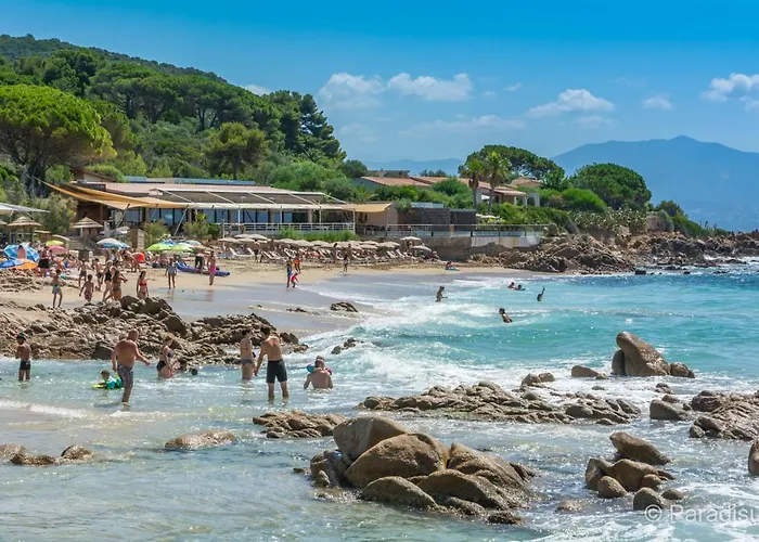 Grand Studio Rte Des Sanguinaires Superbe Vue Mer