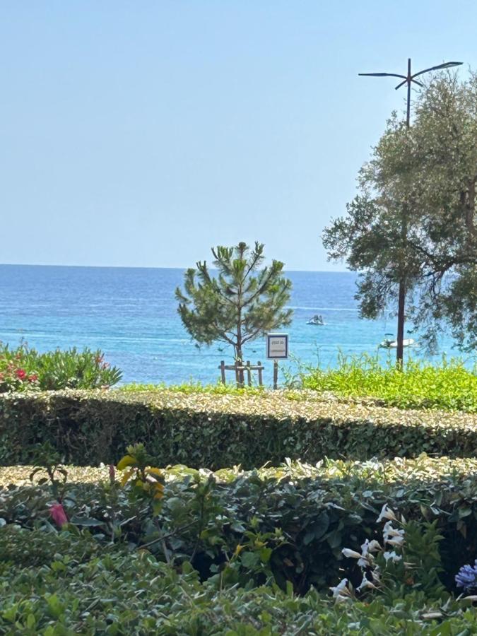 Grand Rte Des Sanguinaires Superbe Vue * Ajaccio (Corsica)